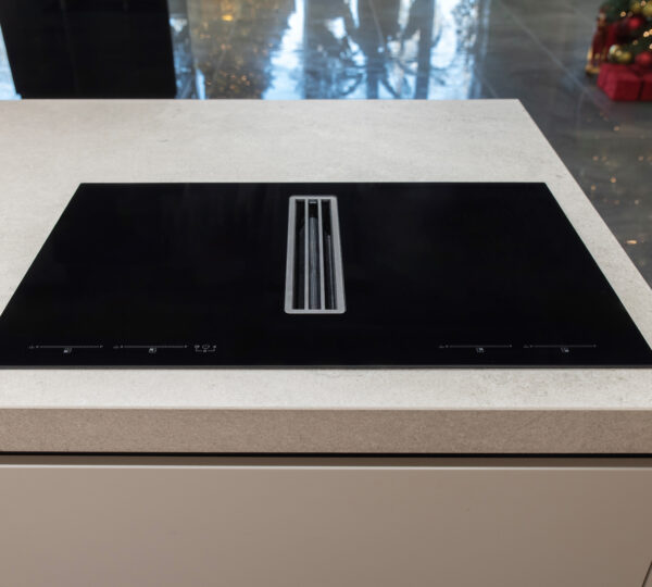plaque à induction avec hotte intégrée